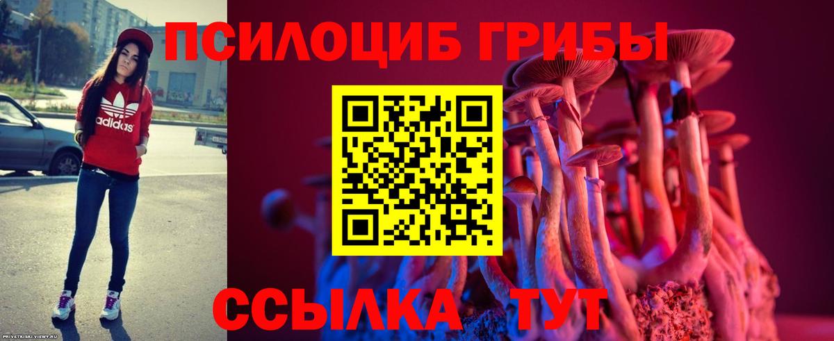 даркнет сайт  Псилоцибиновые грибы Cubensis  Вход с VPN  Улан-Удэ 
